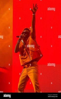 Il Wizkid Live Festival: Un Mix Esplosivo di Afrobeat e Suonori Internazionali!